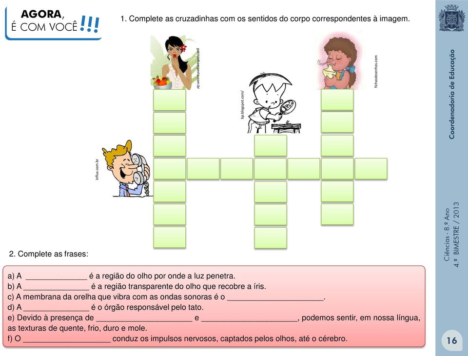 b) A é a região transparente do olho que recobre a íris. c) A membrana da orelha que vibra com as ondas sonoras é o.