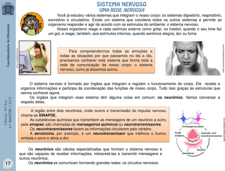 Nosso organismo reage a cada estímulo externo como gritar, no futebol, quando o seu time faz um gol, e reage, também, aos estímulos internos, quando sentimos alegria, dor ou fome. www.mundodemaria.