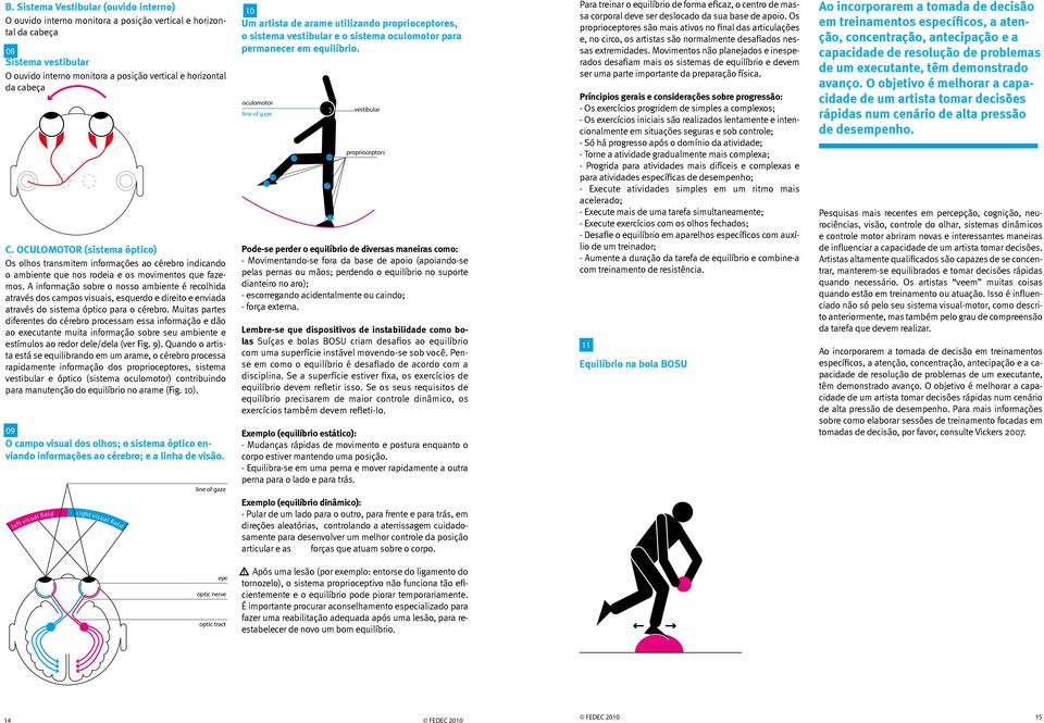 A informação sobre o nosso ambiente é recolhida através dos campos visuais, esquerdo e direito e enviada através do sistema óptico para o cérebro.