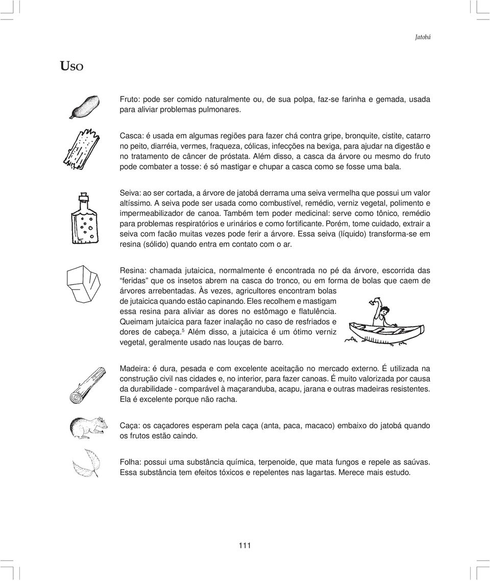 de câncer de próstata. Além disso, a casca da árvore ou mesmo do fruto pode combater a tosse: é só mastigar e chupar a casca como se fosse uma bala.