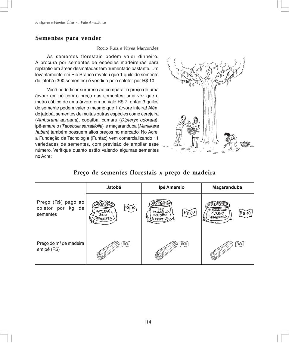 Um levantamento em Rio Branco revelou que 1 quilo de semente de jatobá (300 sementes) é vendido pelo coletor por R$ 10.