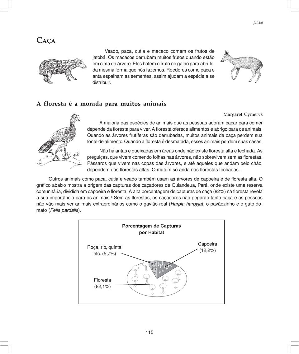 A floresta é a morada para muitos animais Margaret Cymerys A maioria das espécies de animais que as pessoas adoram caçar para comer depende da floresta para viver.