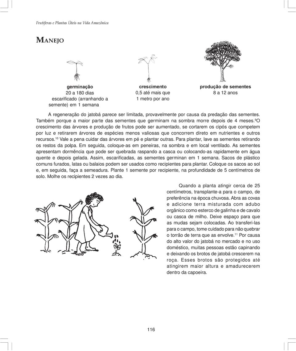 9 O crescimento das árvores e produção de frutos pode ser aumentado, se cortarem os cipós que competem por luz e retirarem árvores de espécies menos valiosas que concorrem direto em nutrientes e