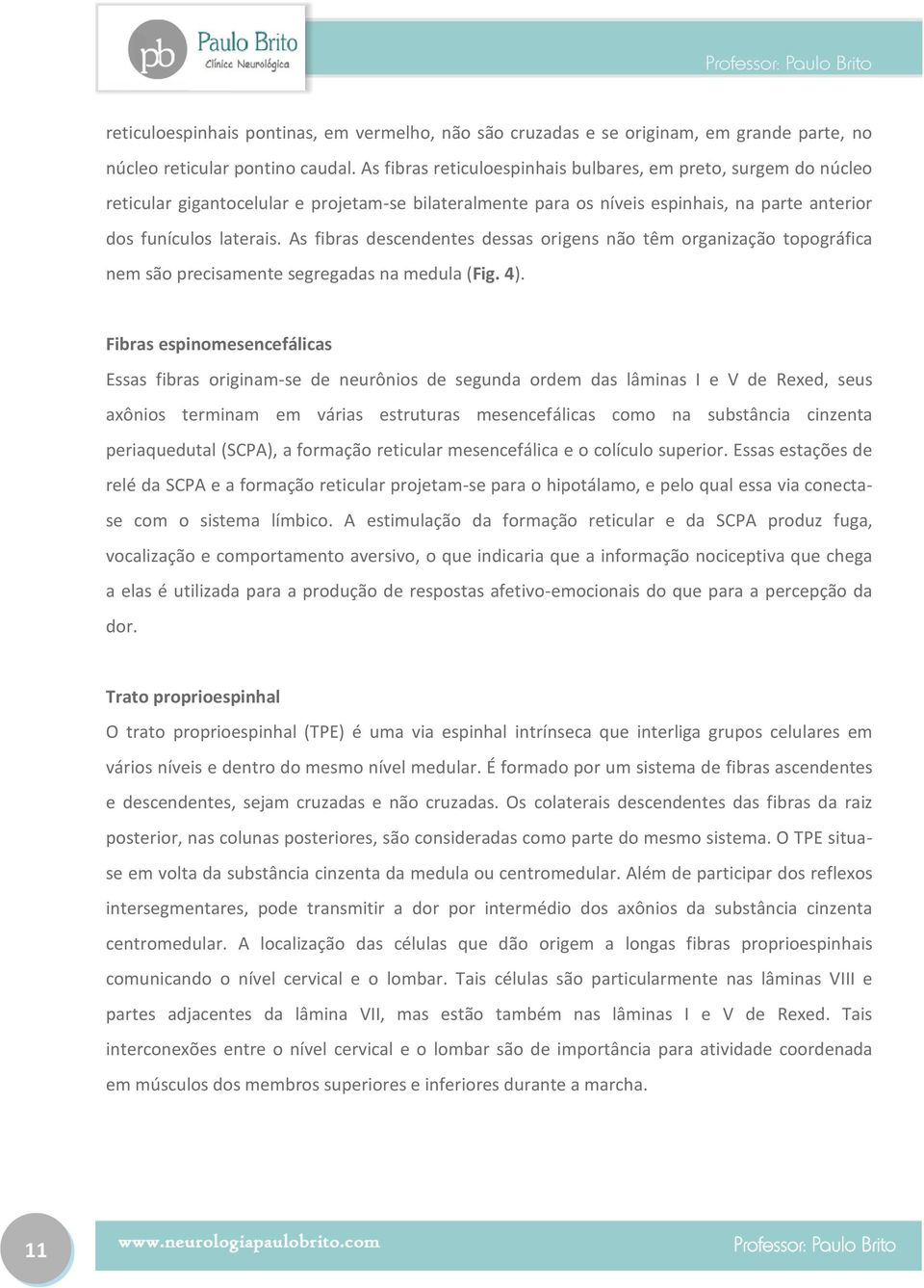 As fibras descendentes dessas origens não têm organização topográfica nem são precisamente segregadas na medula (Fig. 4).