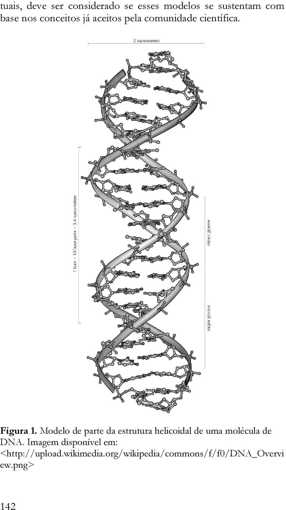 Modelo de parte da estrutura helicoidal de uma molécula de DNA.