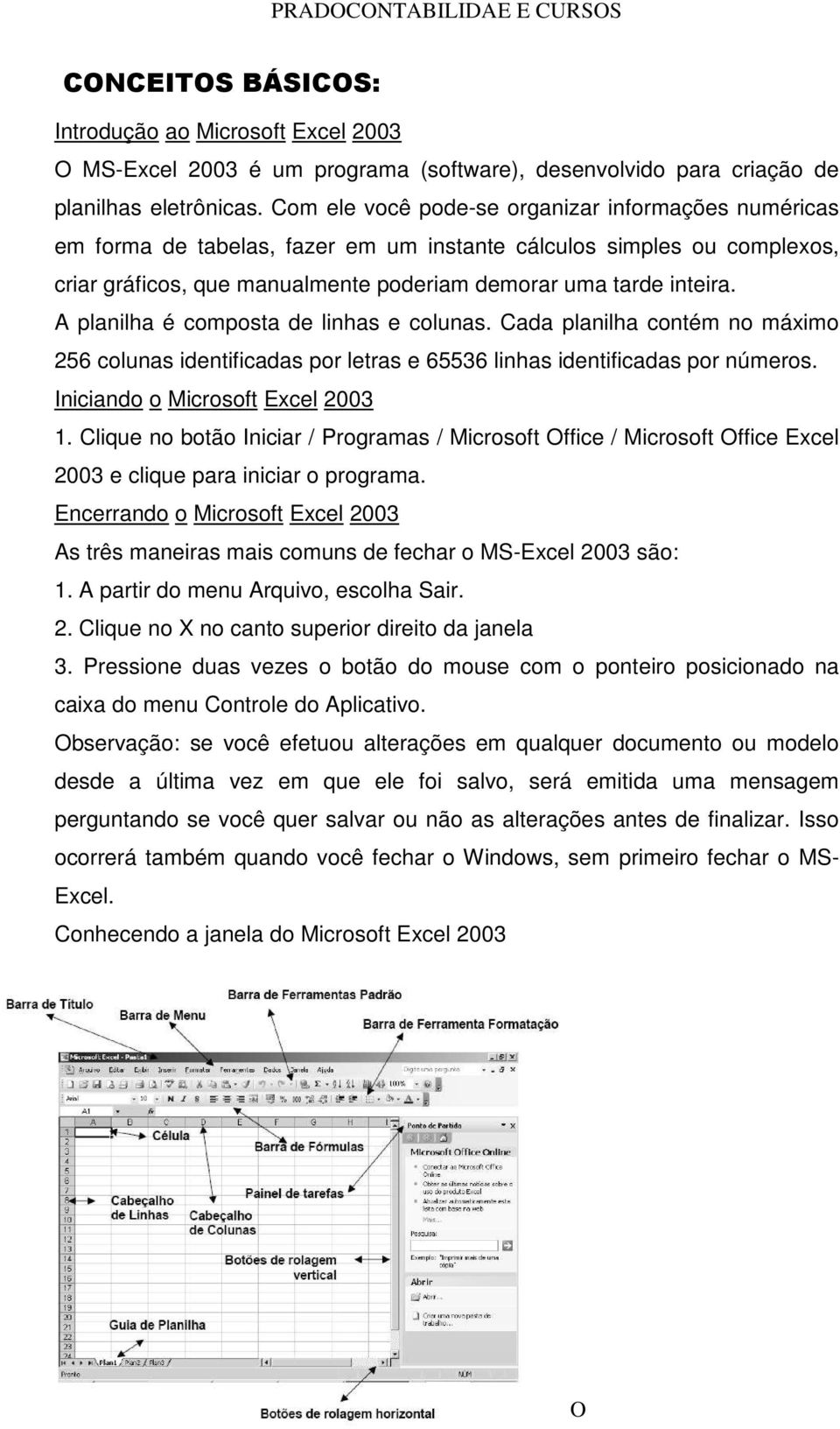 A planilha é composta de linhas e colunas. Cada planilha contém no máximo 256 colunas identificadas por letras e 65536 linhas identificadas por números. Iniciando o Microsoft Excel 2003 1.