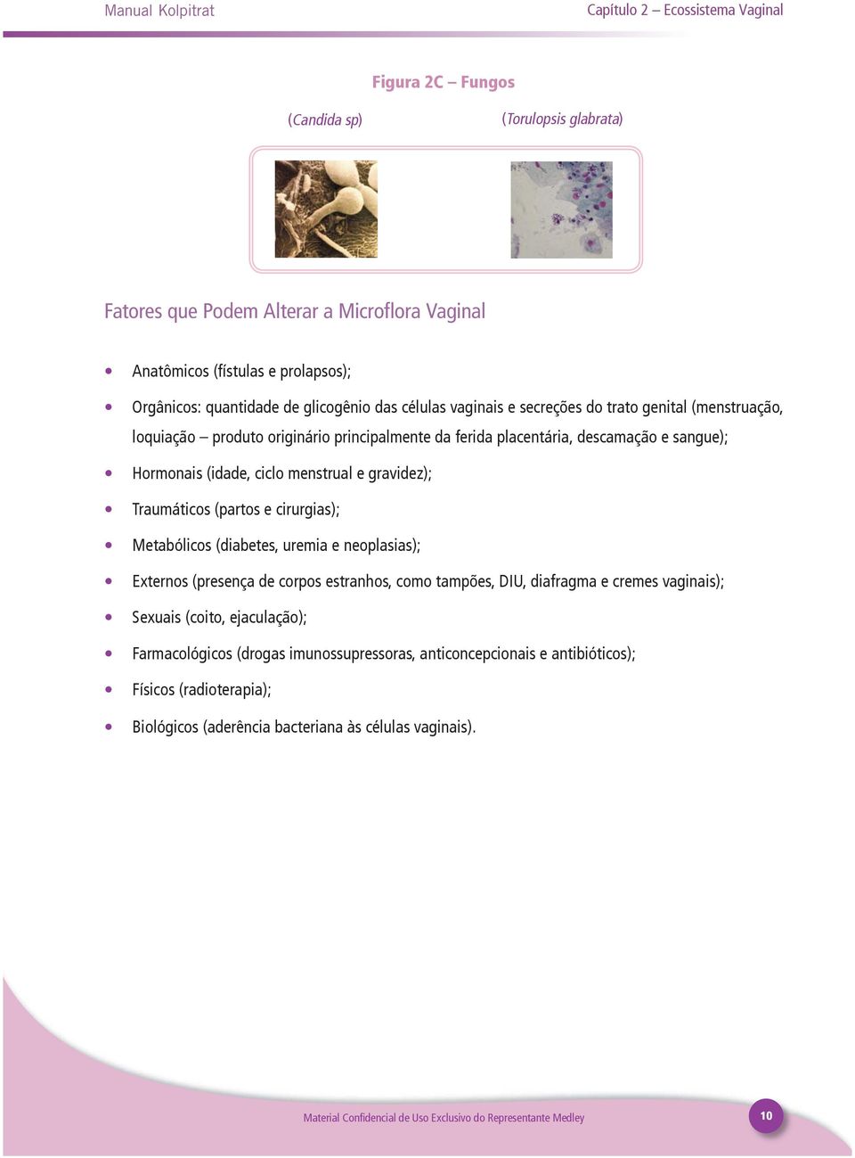 ciclo menstrual e gravidez); Traumáticos (partos e cirurgias); Metabólicos (diabetes, uremia e neoplasias); Externos (presença de corpos estranhos, como tampões, DIU, diafragma e cremes