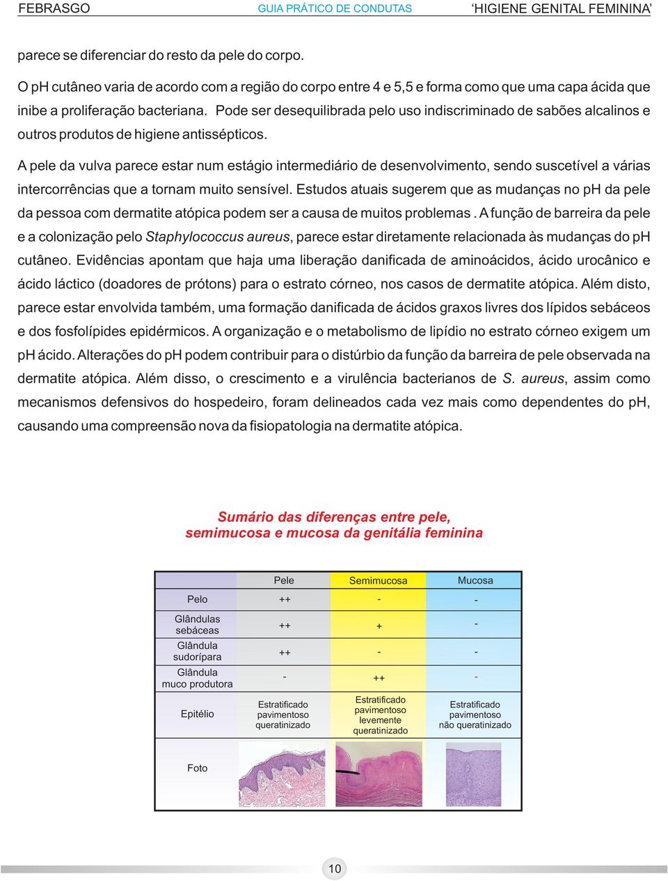 A pele da vulva parece estar num estágio intermediário de desenvolvimento, sendo suscetível a várias intercorrências que a tornam muito sensível.