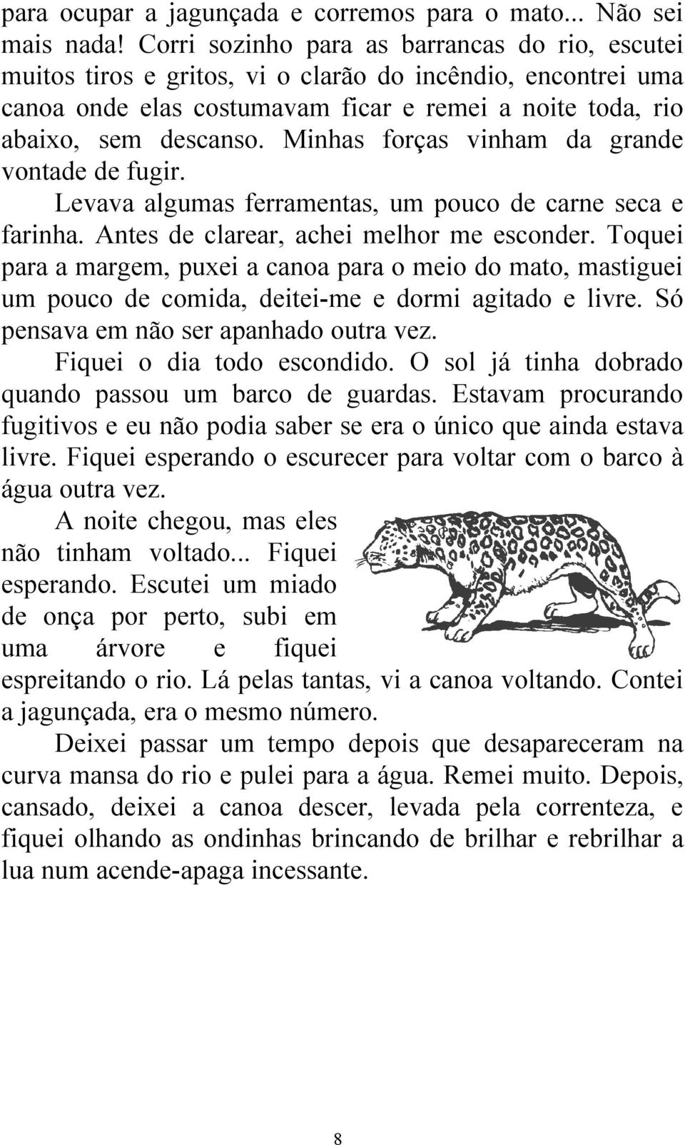 Minhas forças vinham da grande vontade de fugir. Levava algumas ferramentas, um pouco de carne seca e farinha. Antes de clarear, achei melhor me esconder.