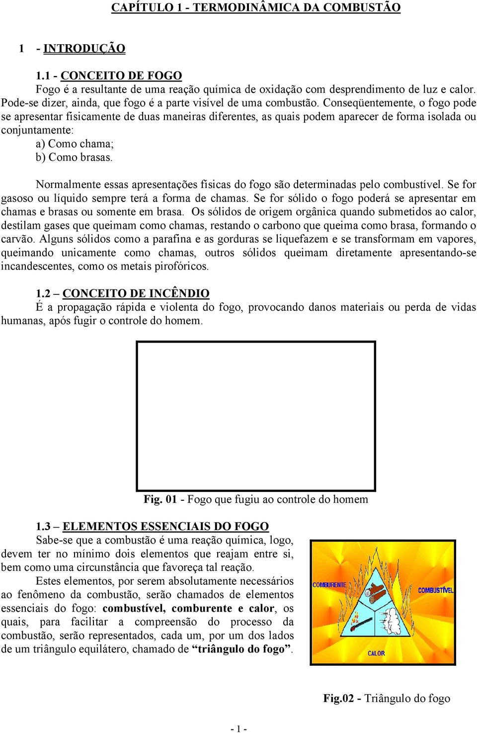 Conseqüentemente, o fogo pode se apresentar fisicamente de duas maneiras diferentes, as quais podem aparecer de forma isolada ou conjuntamente: a) Como chama; b) Como brasas.