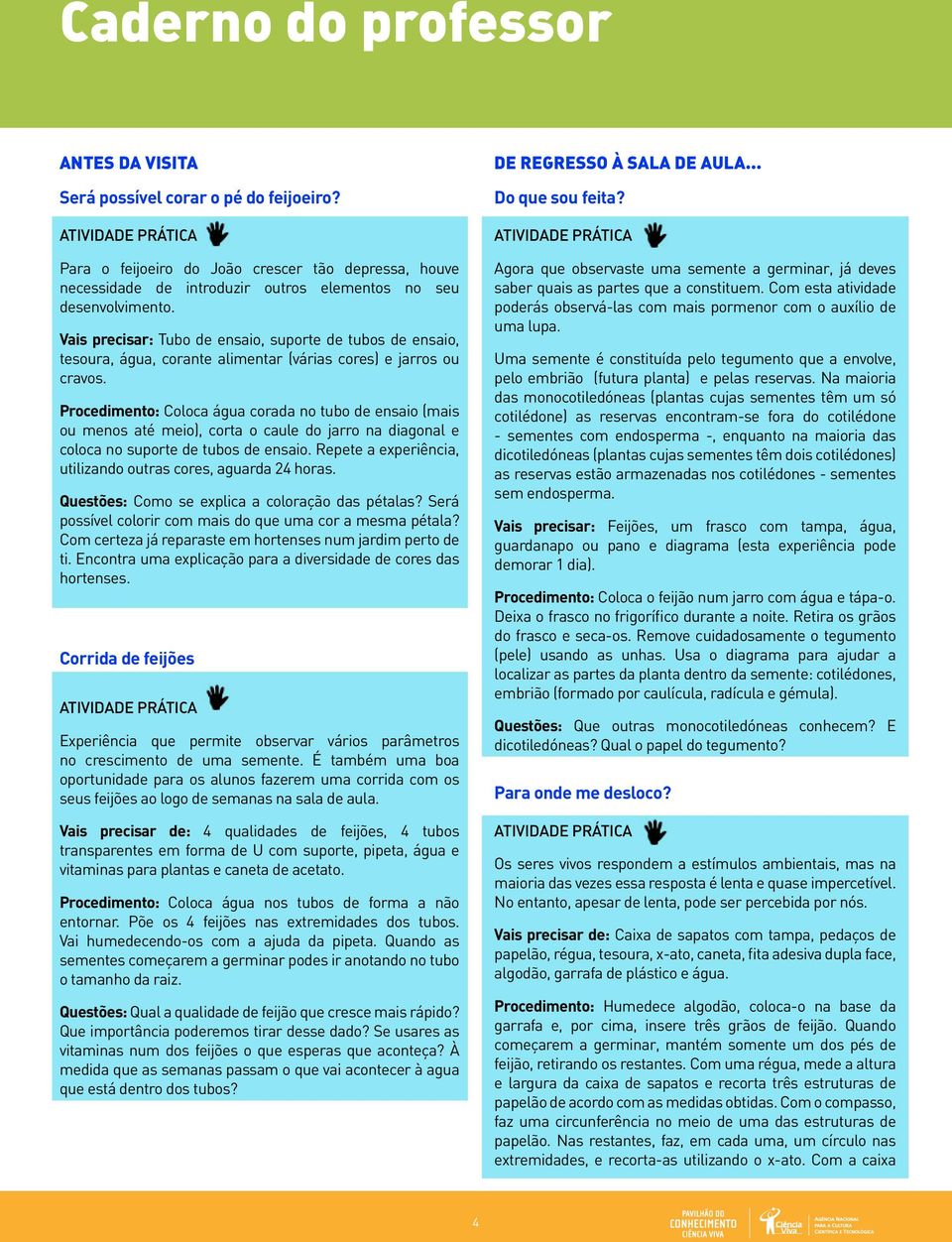 Procedimento: Coloca água corada no tubo de ensaio (mais ou menos até meio), corta o caule do jarro na diagonal e coloca no suporte de tubos de ensaio.