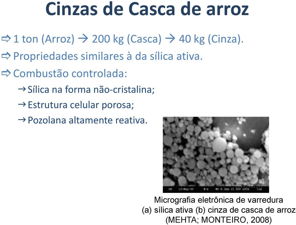 Combustão controlada: Sílica na forma não-cristalina; Estrutura celular porosa;