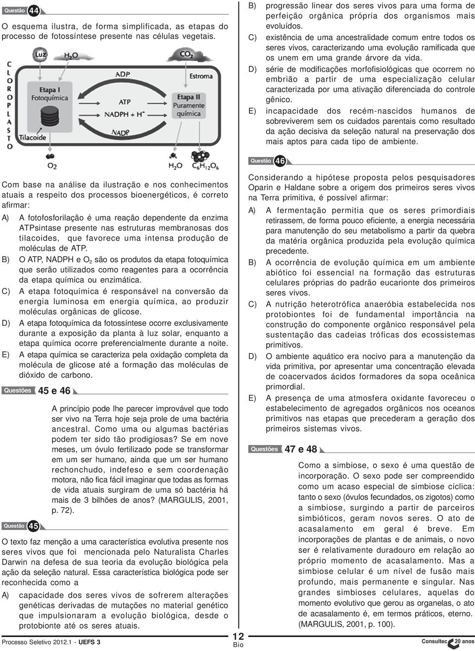 C) existência de uma ancestralidade comum entre todos os seres vivos, caracterizando uma evolução ramificada que os unem em uma grande árvore da vida.