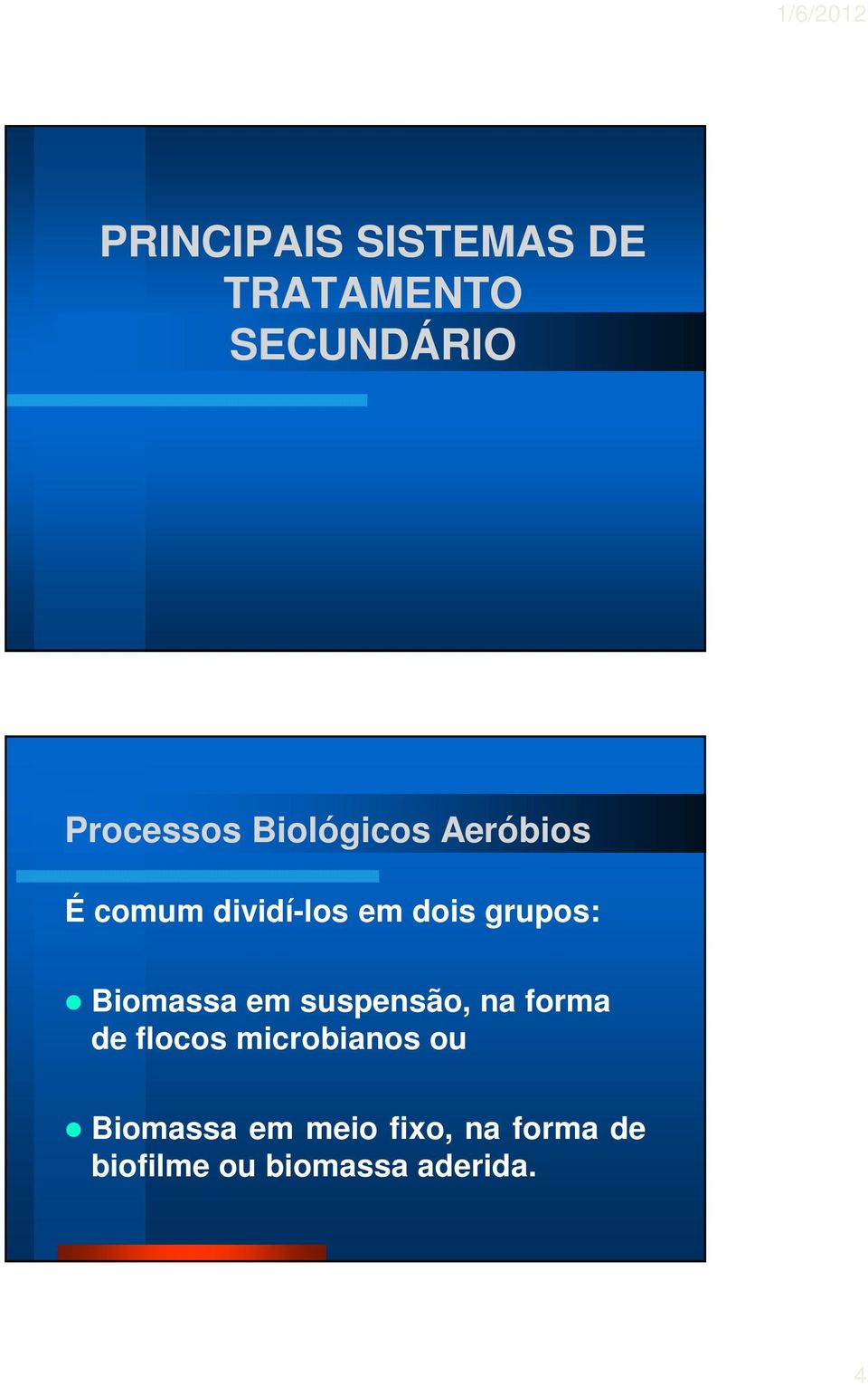 Biomassa em suspensão, na forma de flocos microbianos ou