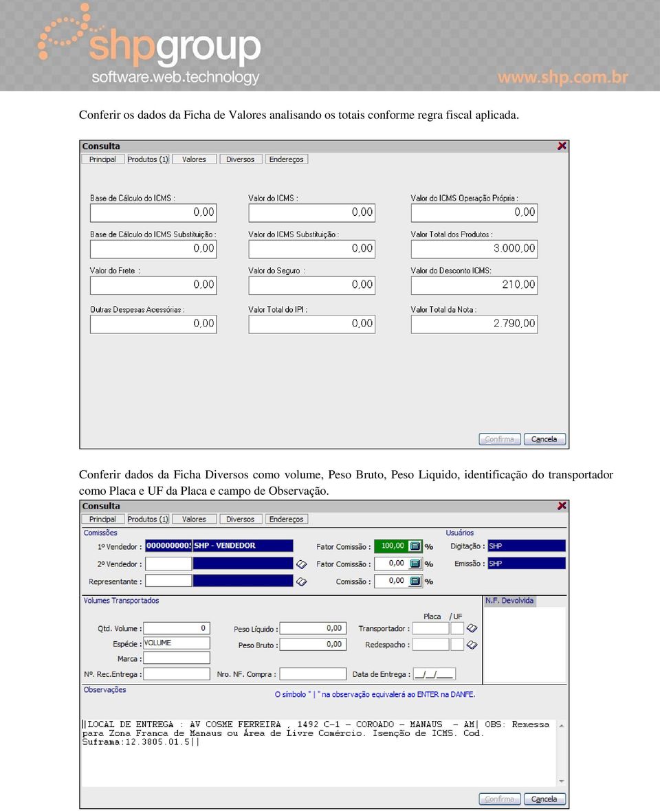 Conferir dados da Ficha Diversos como volume, Peso Bruto,