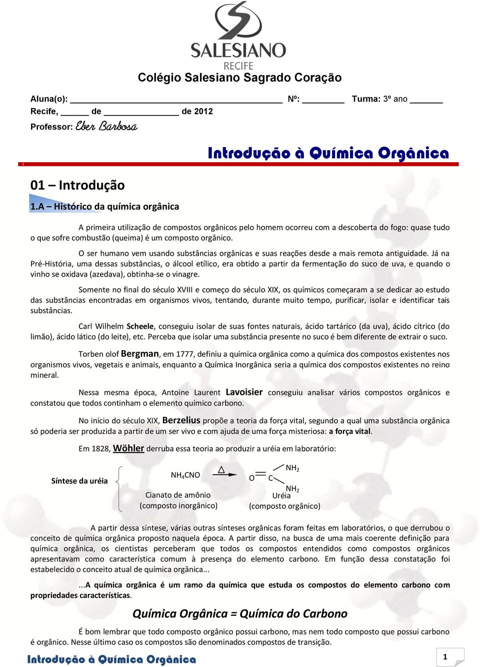 ser humano vem usando substâncias orgânicas e suas reações desde a mais remota antiguidade.