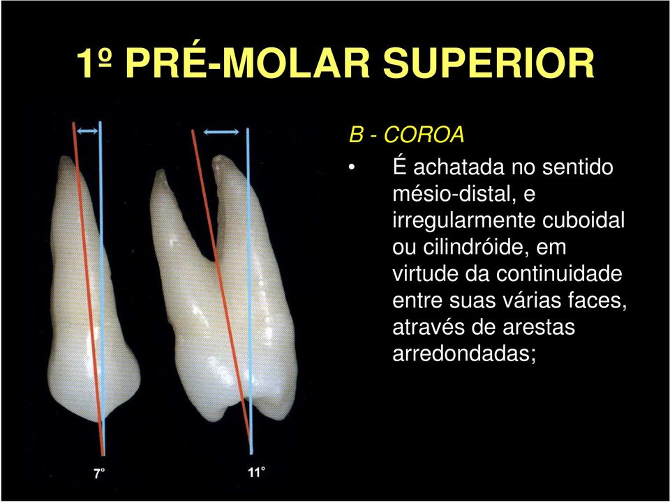 cilindróide, em virtude da continuidade