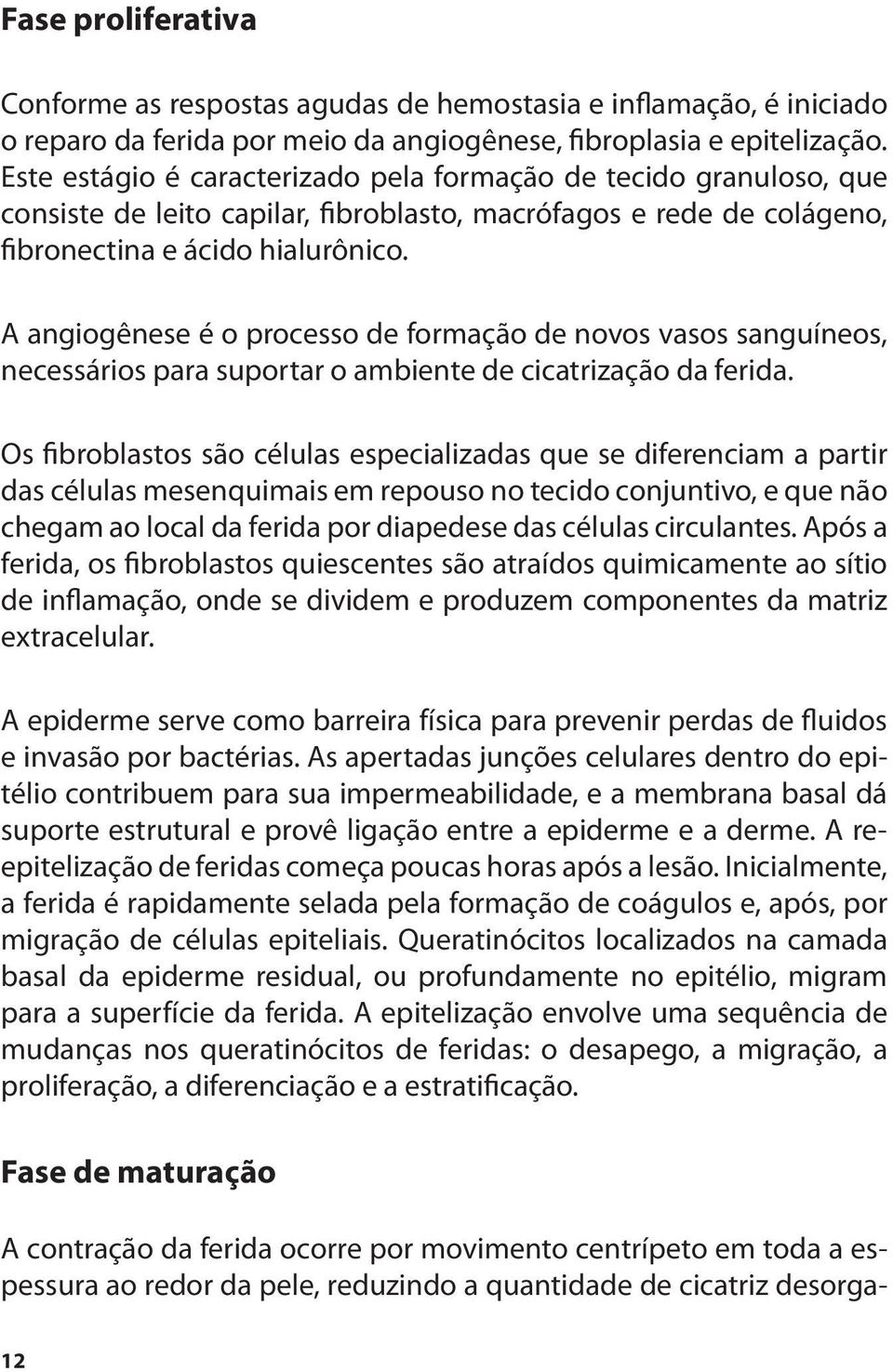 A angiogênese é o processo de formação de novos vasos sanguíneos, necessários para suportar o ambiente de cicatrização da ferida.