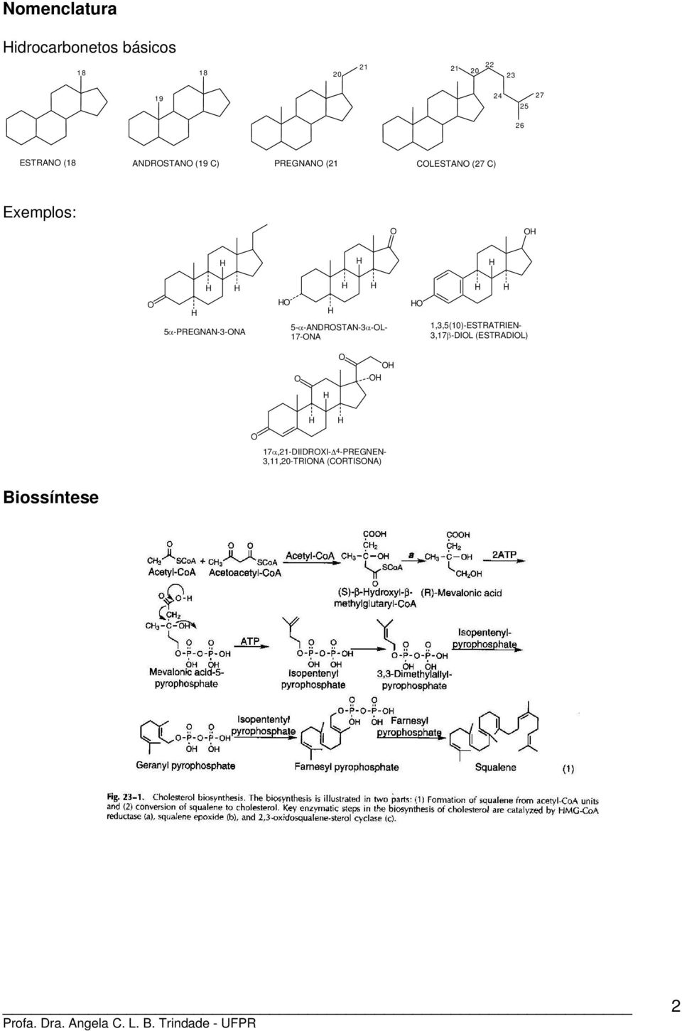 5α-PREGNAN-3-NA 5-α-ANDRSTAN-3α-L- 17-NA 1,3,5(10)-ESTRATRIEN- 3,17β-DIL