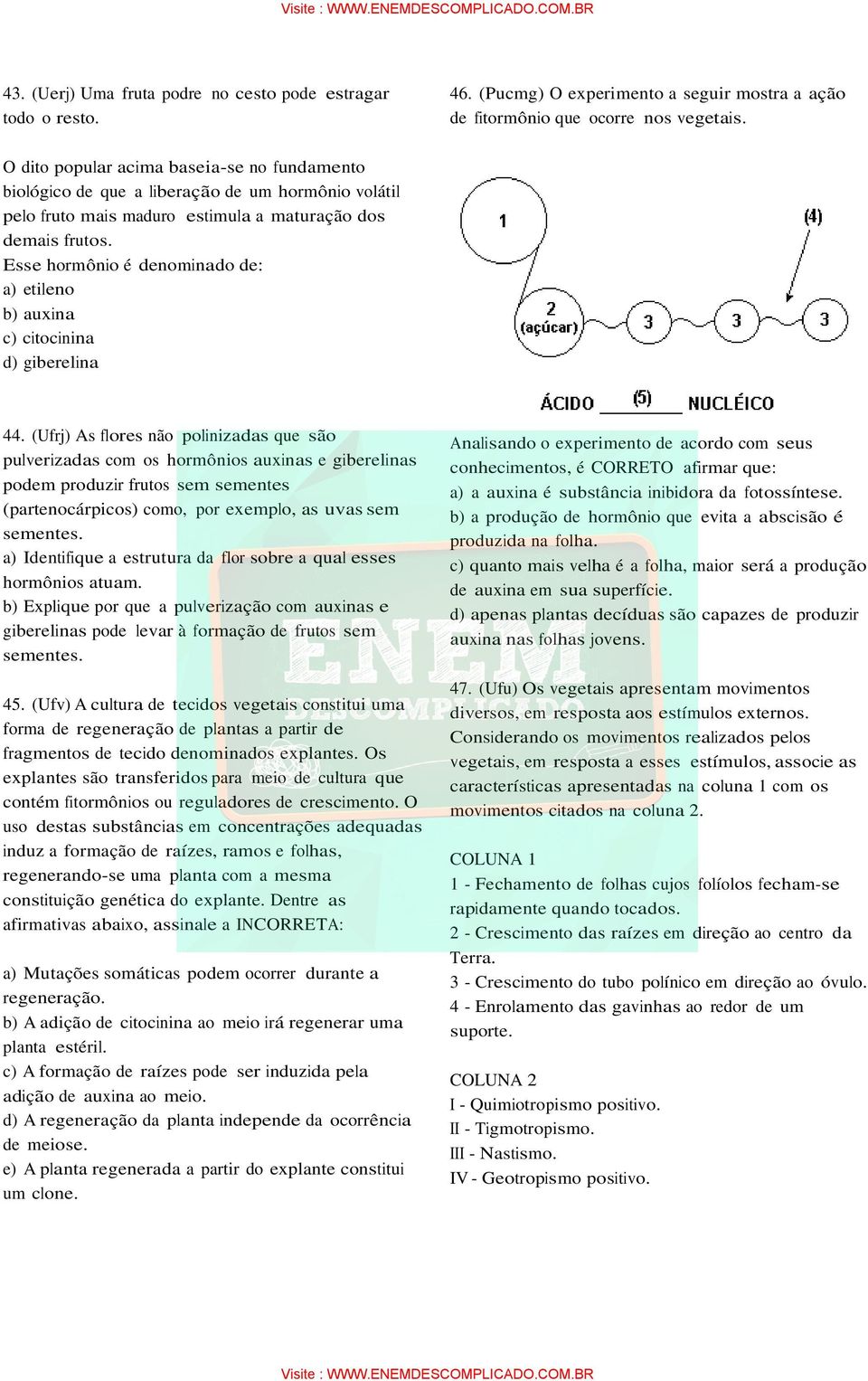 Esse hormônio é denominado de: a) etileno b) auxina c) citocinina d) giberelina 44.