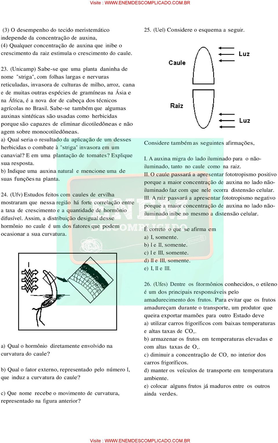 (Unicamp) Sabe-se que uma planta daninha de nome "striga", com folhas largas e nervuras reticuladas, invasora de culturas de milho, arroz, cana e de muitas outras espécies de gramíneas na Ásia e na