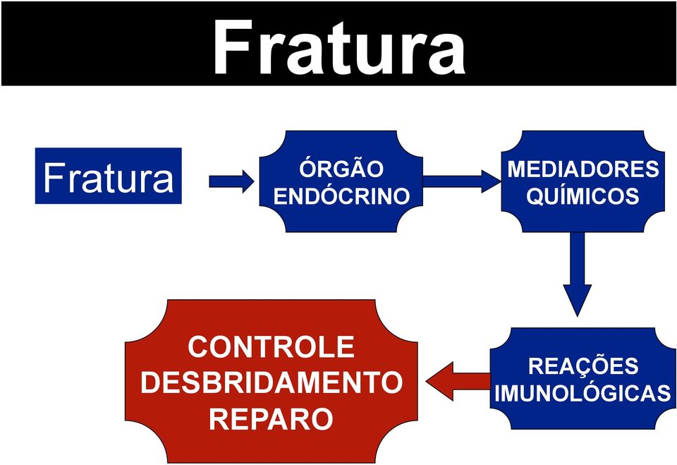 QUÍMICOS CONTROLE