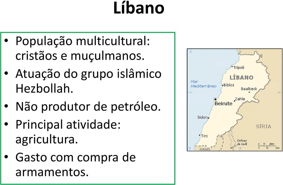 Atuação do grupo islâmico Hezbollah.