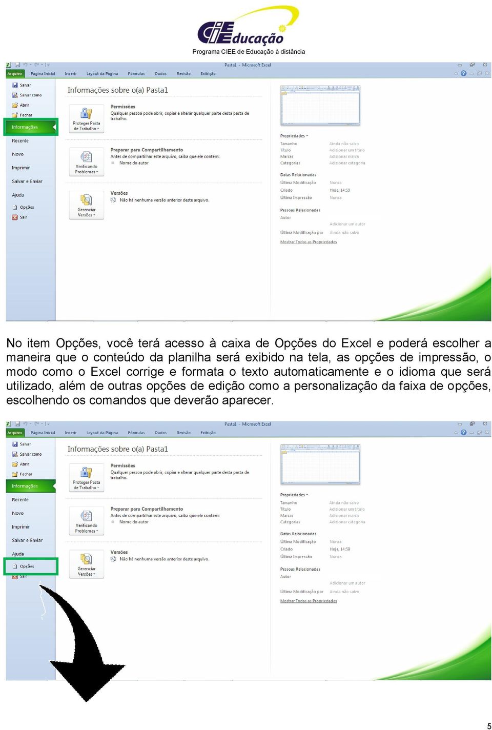 corrige e formata o texto automaticamente e o idioma que será utilizado, além de outras