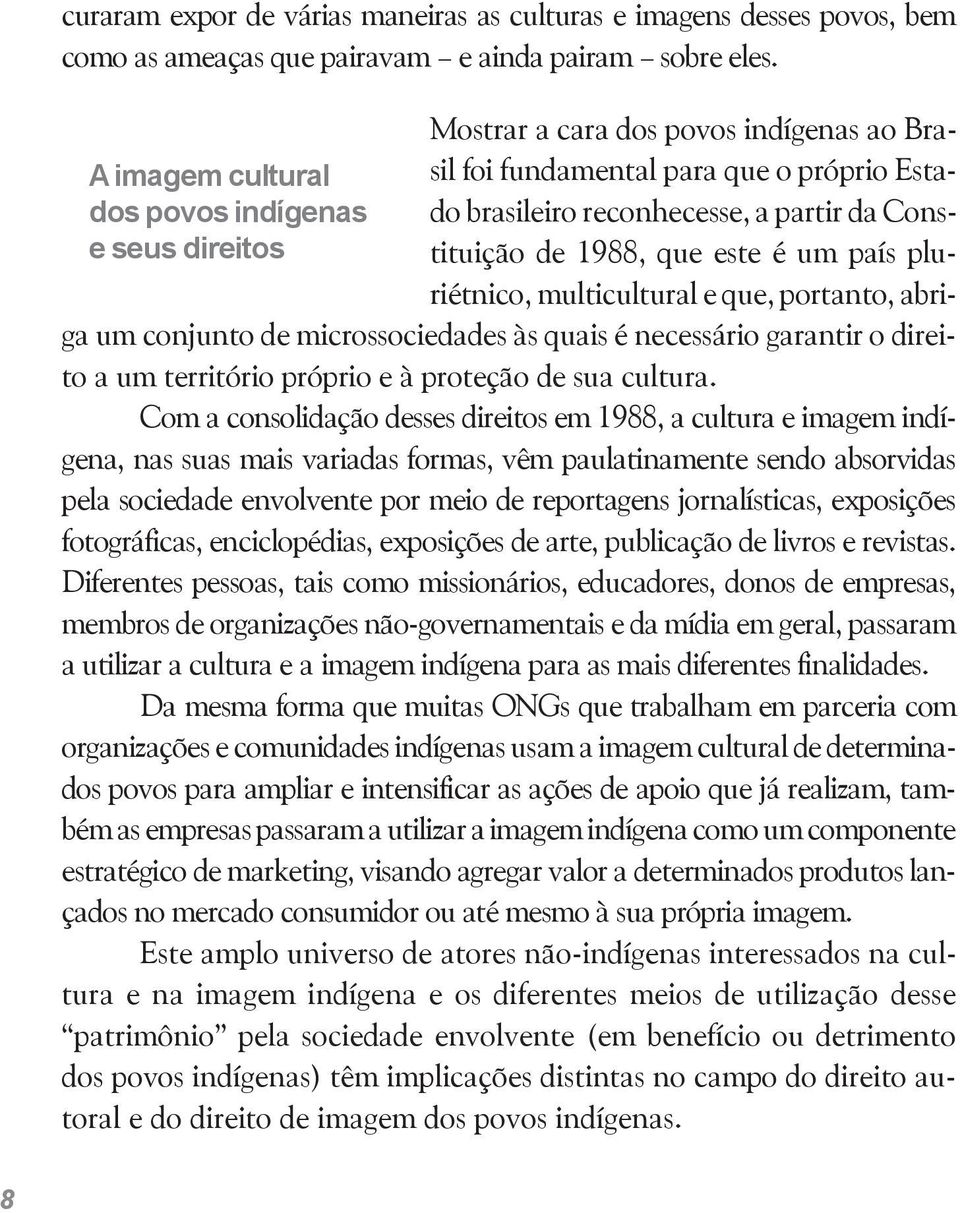 que este é um país pluriétnico, multicultural e que, portanto, abriga um conjunto de microssociedades às quais é necessário garantir o direito a um território próprio e à proteção de sua cultura.