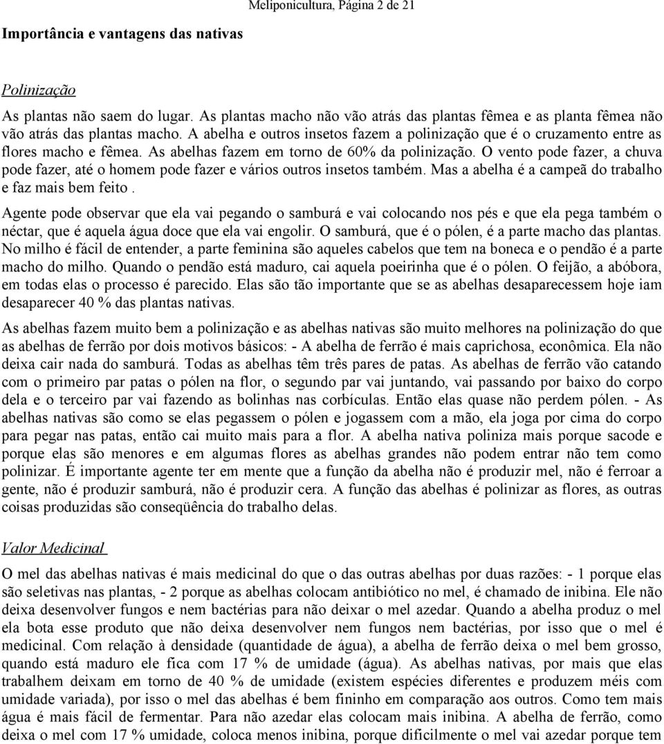 As abelhas fazem em torno de 60% da polinização. O vento pode fazer, a chuva pode fazer, até o homem pode fazer e vários outros insetos também.