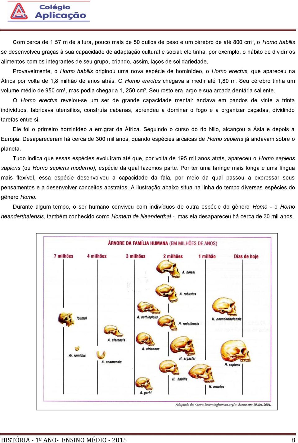 Provavelmente, o Homo habilis originou uma nova espécie de hominídeo, o Homo erectus, que apareceu na África por volta de 1,8 milhão de anos atrás. O Homo erectus chegava a medir até 1,80 m.