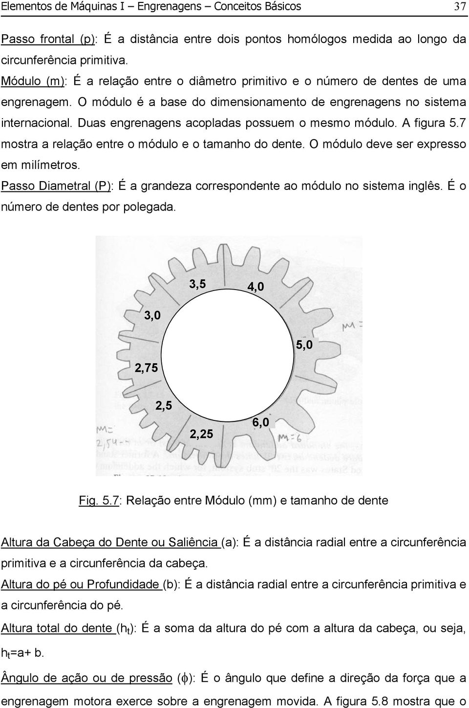 Duas engrenagens acopladas possuem o mesmo módulo. A figura 5.7 mostra a relação entre o módulo e o tamanho do dente. O módulo deve ser expresso em milímetros.