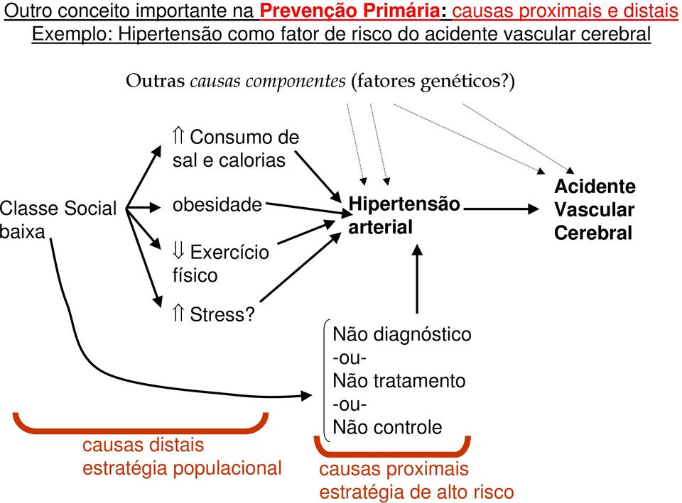 ) Classe Social baixa Consumo de sal e calorias obesidade Exercício físico Hipertensão arterial Acidente Vascular