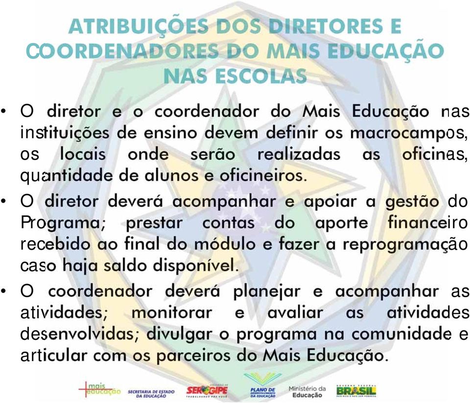 O diretor deverá acompanhar e apoiar a gestão do Programa; prestar contas do aporte financeiro recebido ao final do módulo e fazer a reprogramação caso