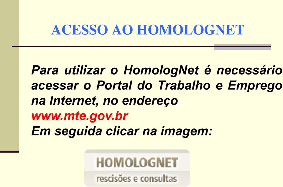 do Trabalho e Emprego na Internet, no