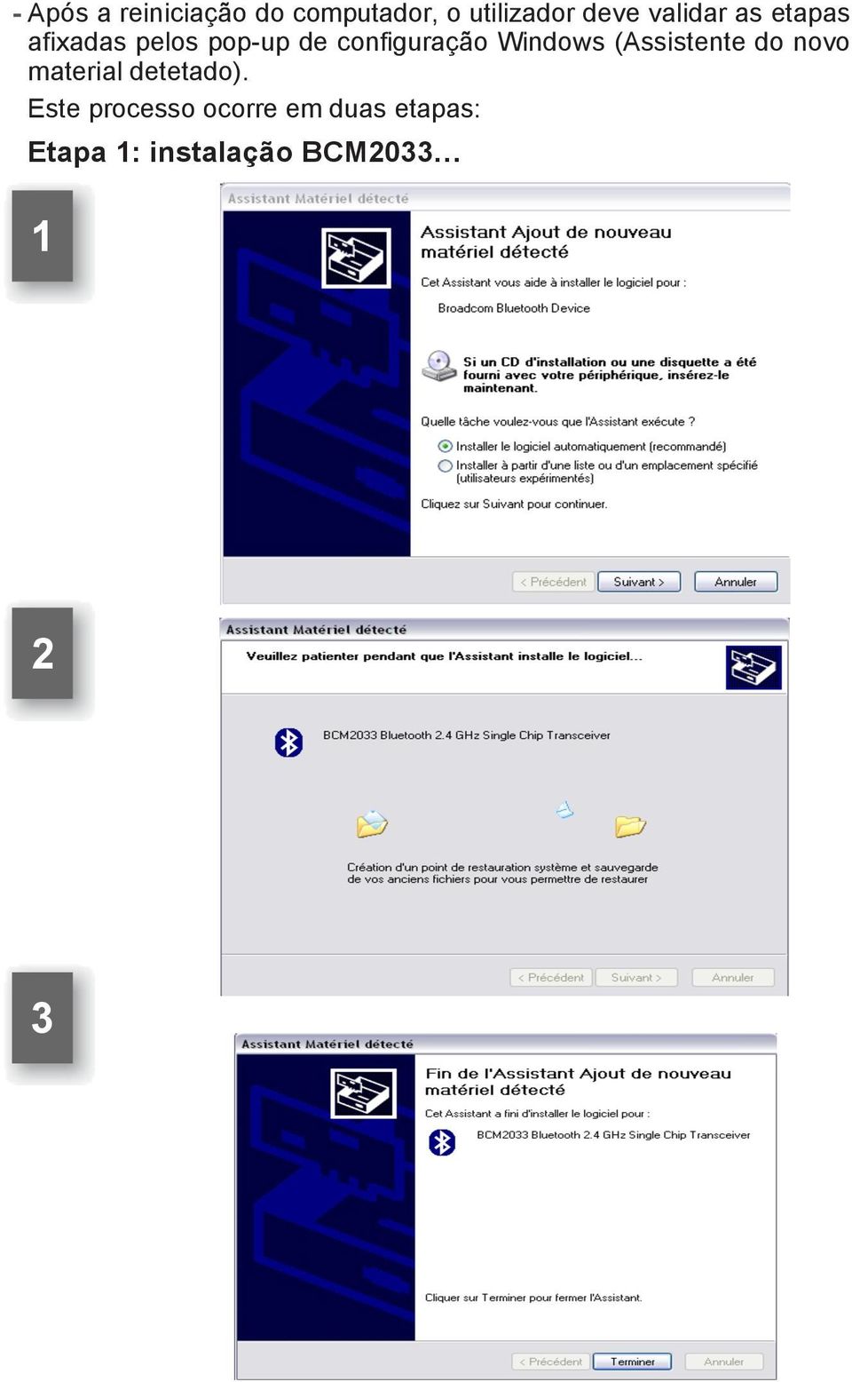 Windows (Assistente do novo material detetado).