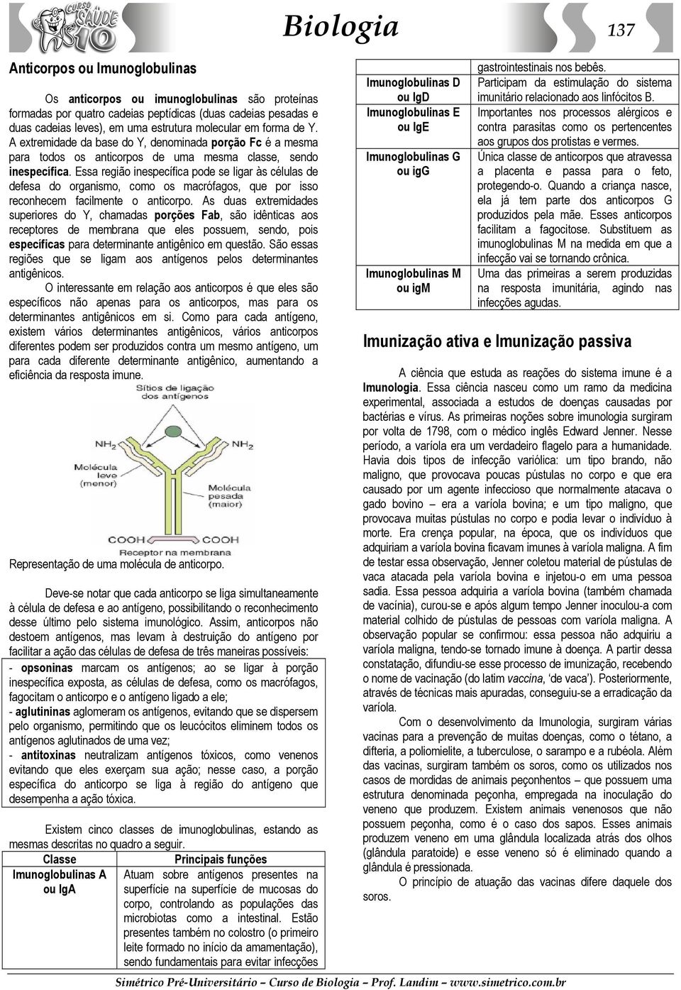 Essa região inespecífica pode se ligar às células de defesa do organismo, como os macrófagos, que por isso reconhecem facilmente o anticorpo.