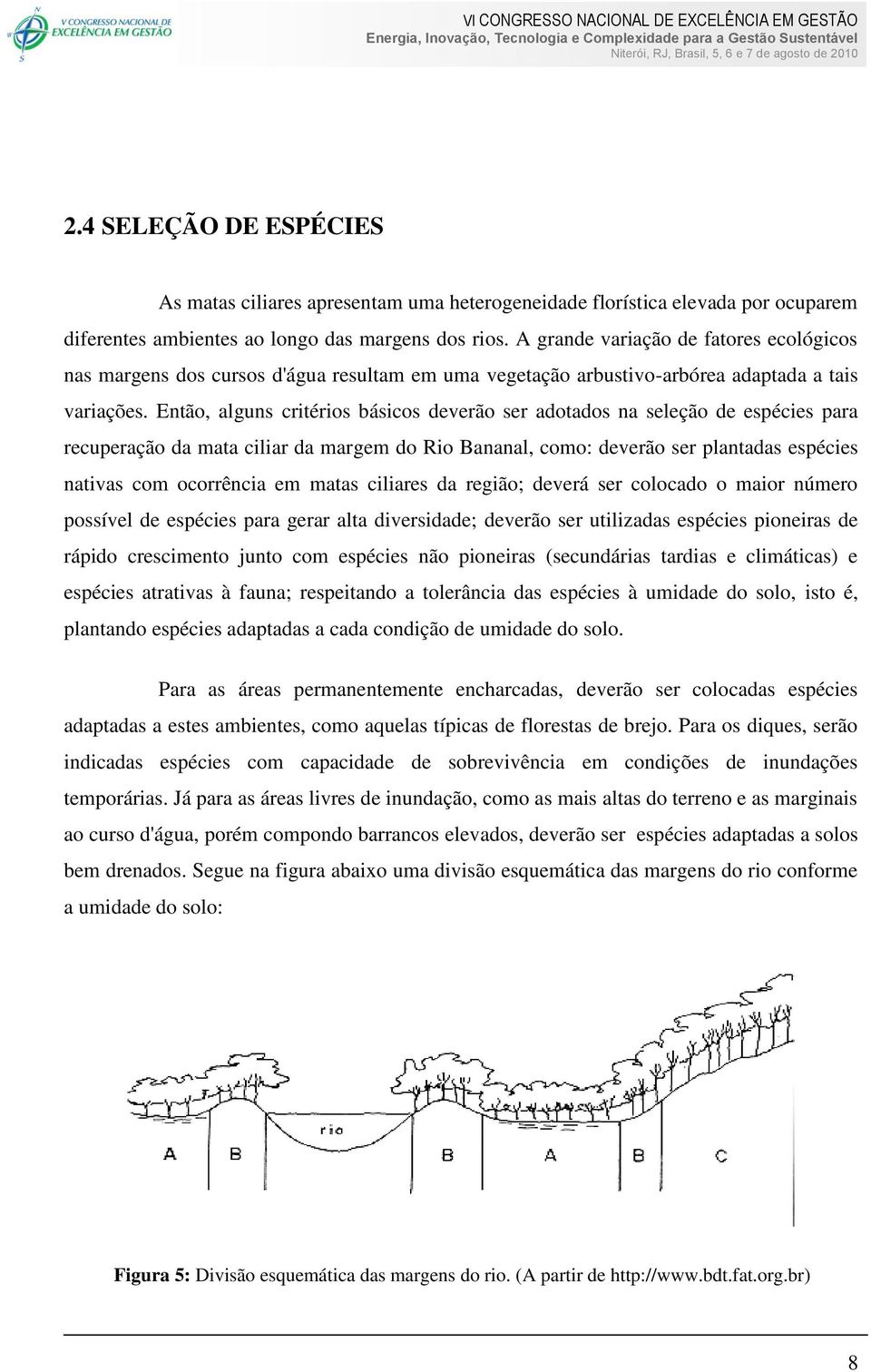 Então, alguns critérios básicos deverão ser adotados na seleção de espécies para recuperação da mata ciliar da margem do Rio Bananal, como: deverão ser plantadas espécies nativas com ocorrência em