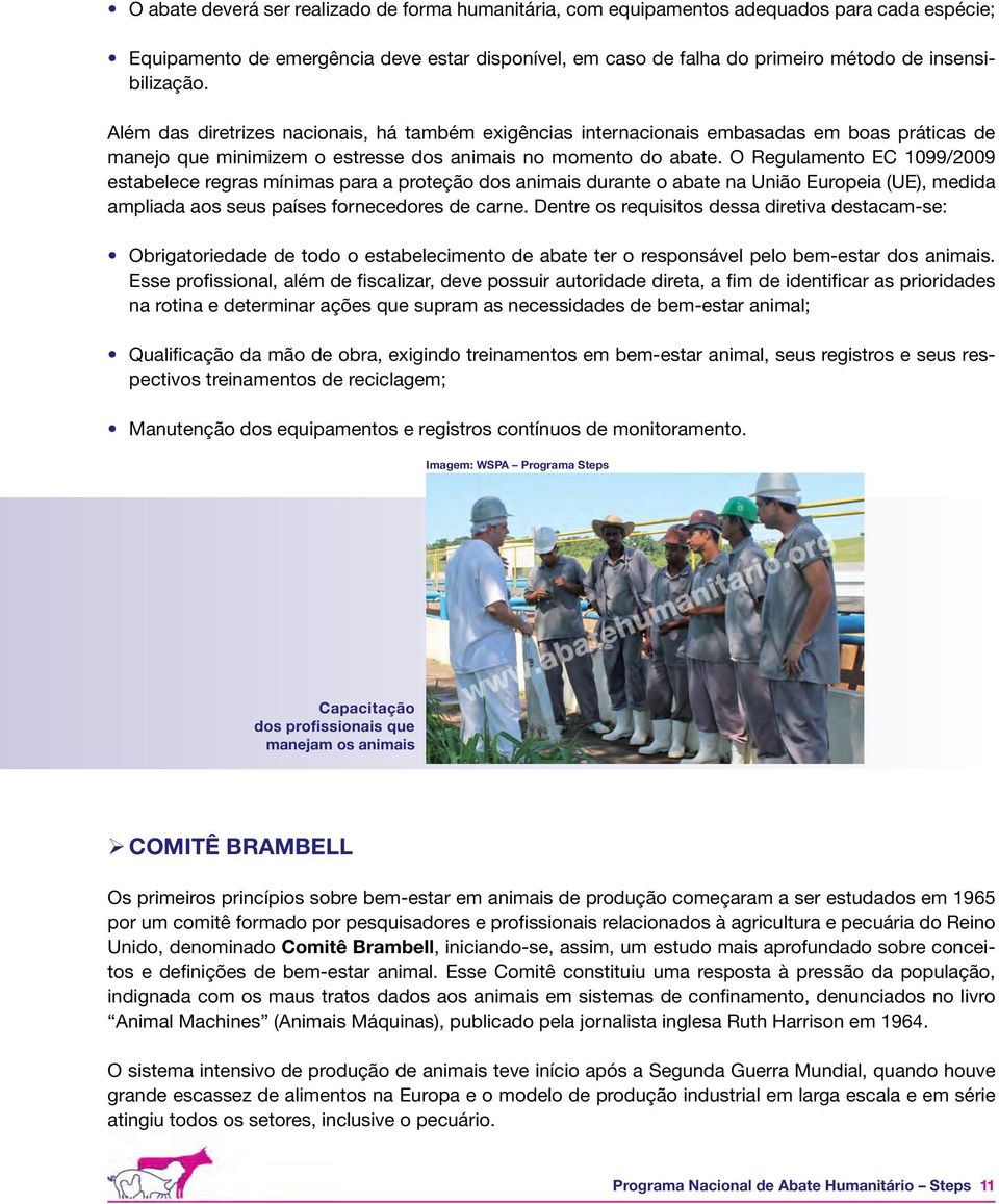 O Regulamento EC 1099/2009 estabelece regras mínimas para a proteção dos animais durante o abate na União Europeia (UE), medida ampliada aos seus países fornecedores de carne.