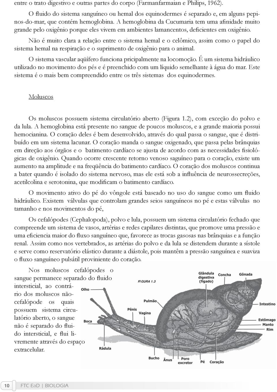 A hemoglobina da Cucumaria tem uma afinidade muito grande pelo oxigênio porque eles vivem em ambientes lamancentos, deficientes em oxigênio.