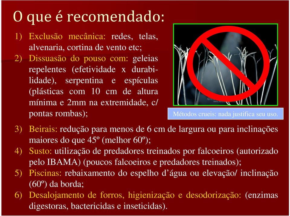 3) Beirais: redução para menos de 6 cm de largura ou para inclinações maiores do que 45º (melhor 60º); 4) Susto: utilização de predadores treinados por falcoeiros (autorizado pelo