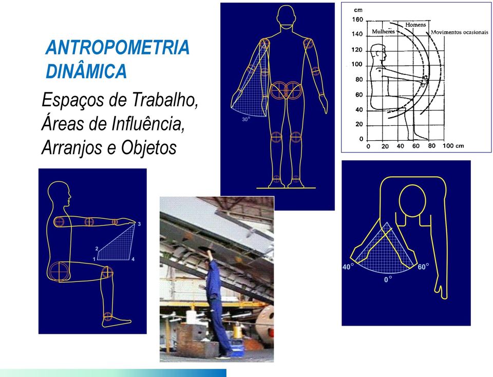 Trabalho, Áreas de