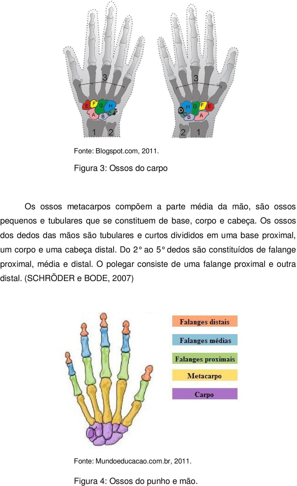 base, corpo e cabeça.