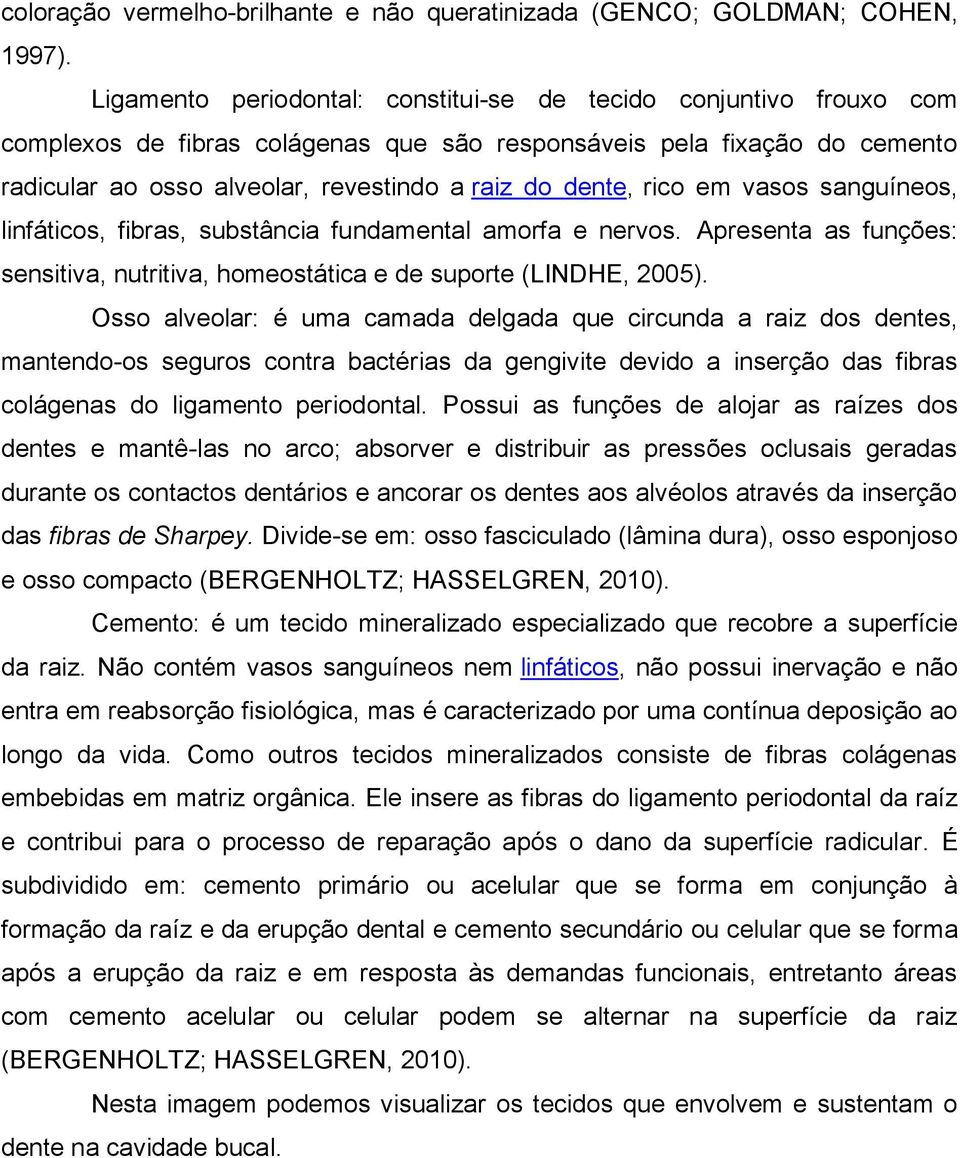 rico em vasos sanguíneos, linfáticos, fibras, substância fundamental amorfa e nervos. Apresenta as funções: sensitiva, nutritiva, homeostática e de suporte (LINDHE, 2005).