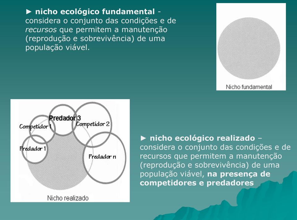 nicho ecológico realizado considera o conjunto das condições e de recursos que permitem