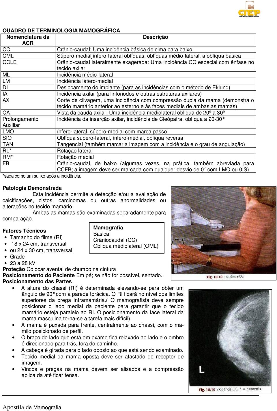 (para as incidências com o método de Eklund) IA Incidência axilar (para linfonodos e outras estruturas axilares) AX Corte de clivagem, uma incidência com compressão dupla da mama (demonstra o tecido