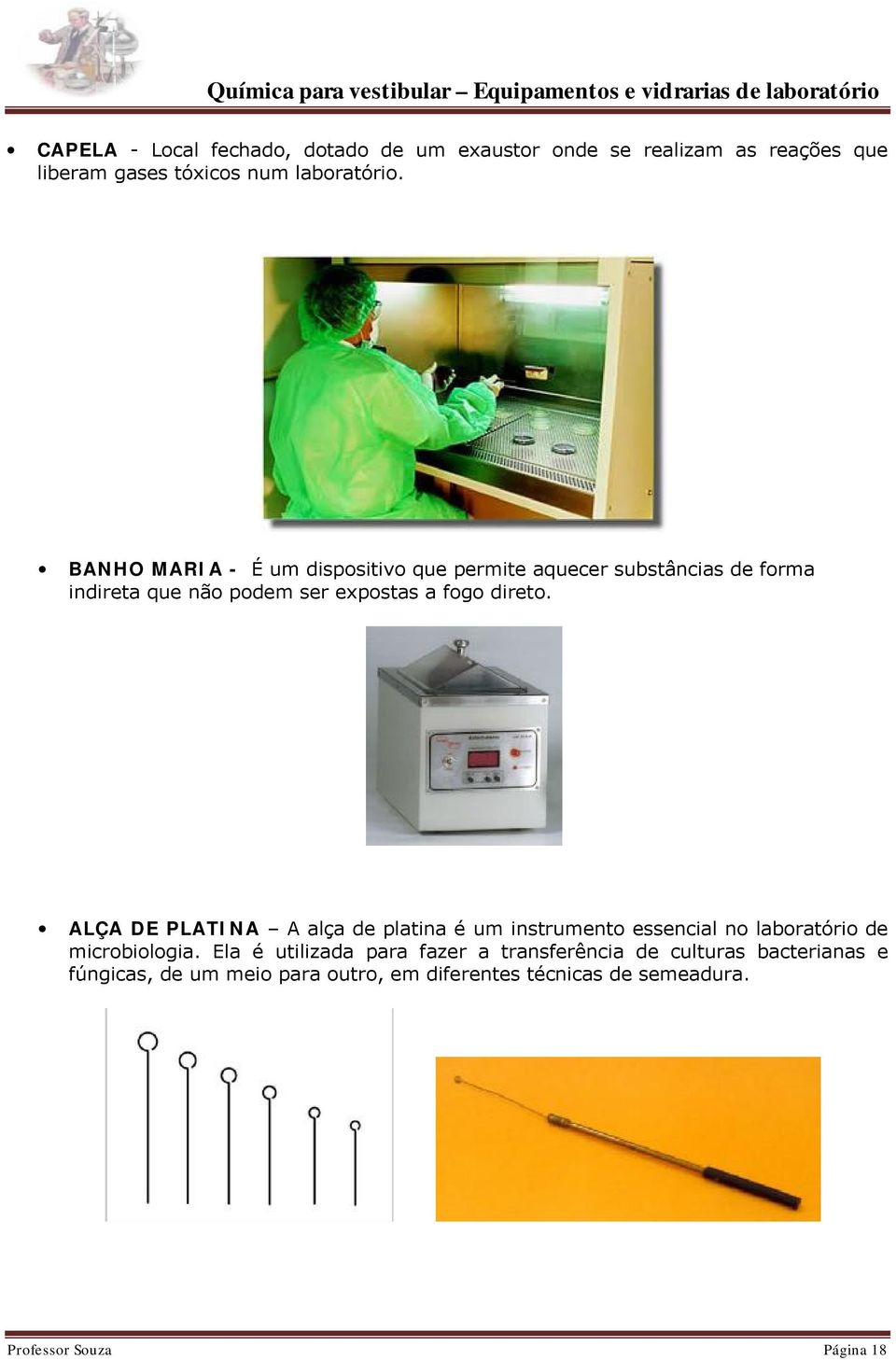 ALÇA DE PLATINA A alça de platina é um instrumento essencial no laboratório de microbiologia.