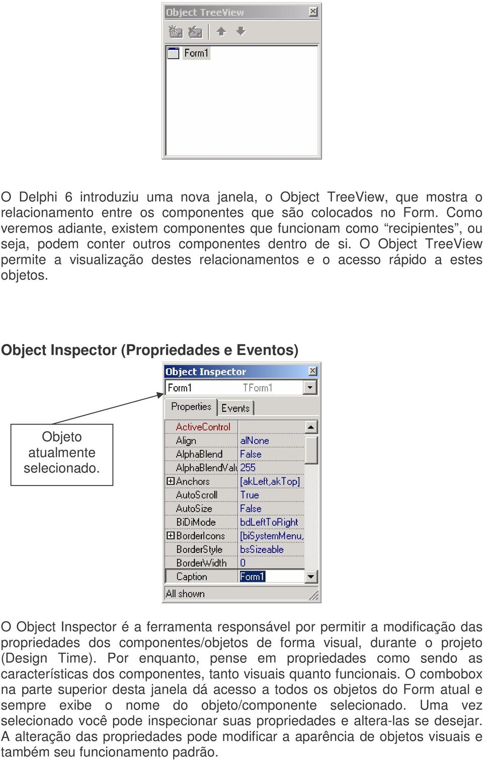 O Object TreeView permite a visualização destes relacionamentos e o acesso rápido a estes objetos. Object Inspector (Propriedades e Eventos) Objeto atualmente selecionado.