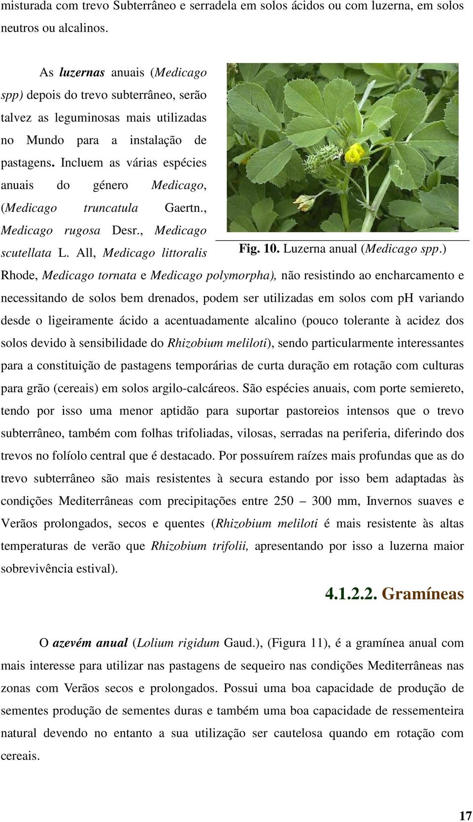 Incluem as várias espécies anuais do género Medicago, (Medicago truncatula Gaertn., Medicago rugosa Desr., Medicago scutellata L. All, Medicago littoralis Fig. 10. Luzerna anual (Medicago spp.