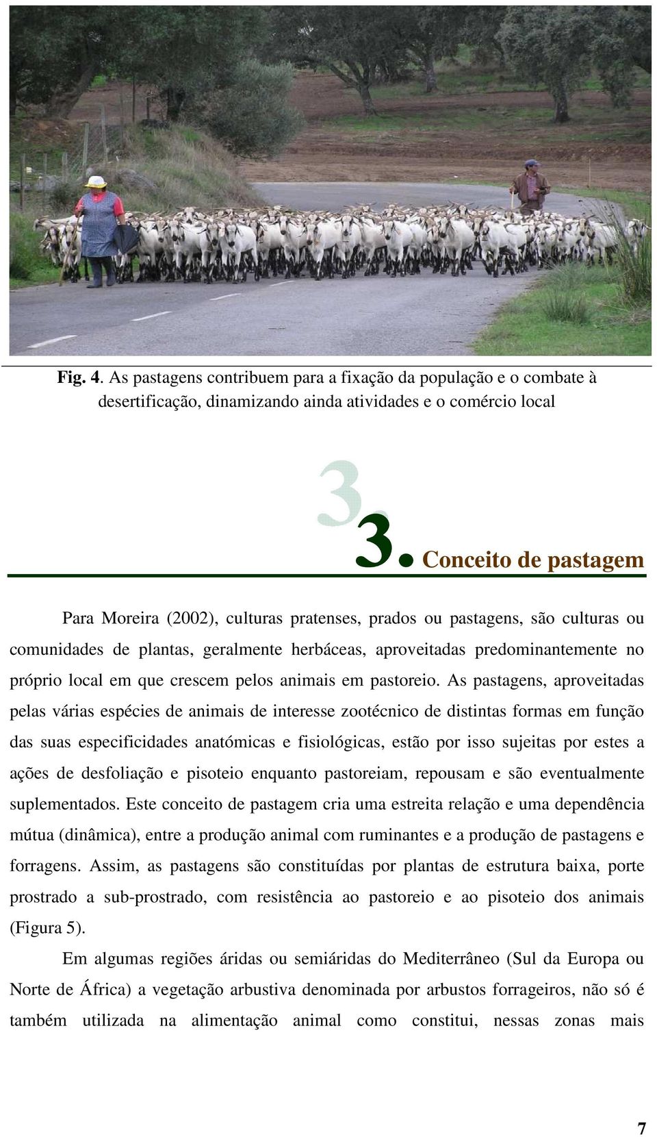 ou pastagens, são culturas ou comunidades de plantas, geralmente herbáceas, aproveitadas predominantemente no próprio local em que crescem pelos animais em pastoreio.